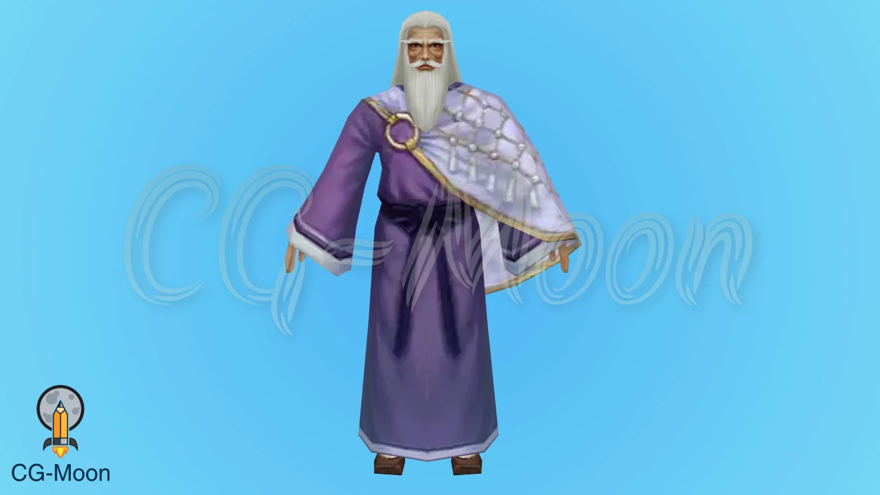 Wise Man Rigged 3D Model